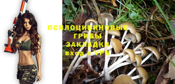 амф Аркадак