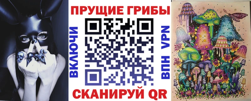 mega tor  Старица  Галлюциногенные грибы GOLDEN TEACHER 